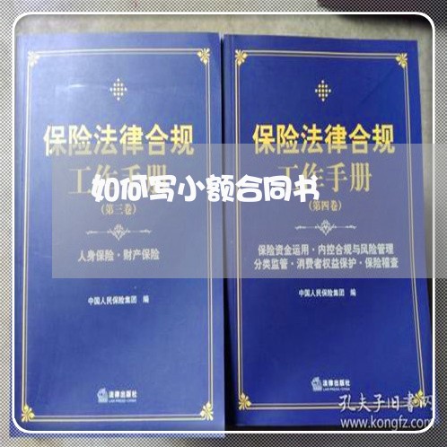 如何写小额合同书/2023040240403