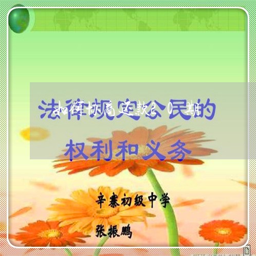 如何协商还款20期/2023110614028