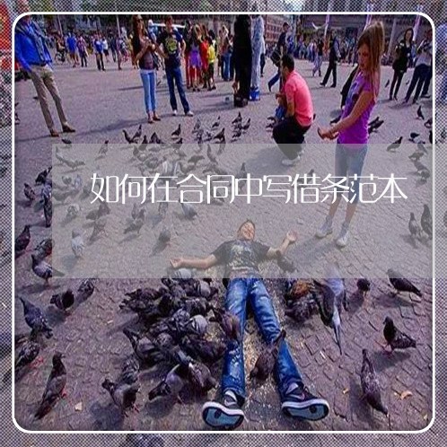 如何在合同中写借条范本/2023022643048 如何在合同中写借条范本/2023022643048