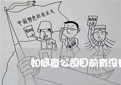 如何查公司目前有没有诉讼