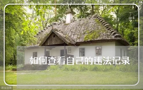 如何查看自己的违法记录 如何查看自己的违法记录