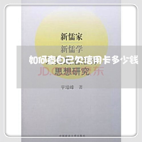 如何查自己欠信用卡多少钱 如何查自己欠信用卡多少钱
