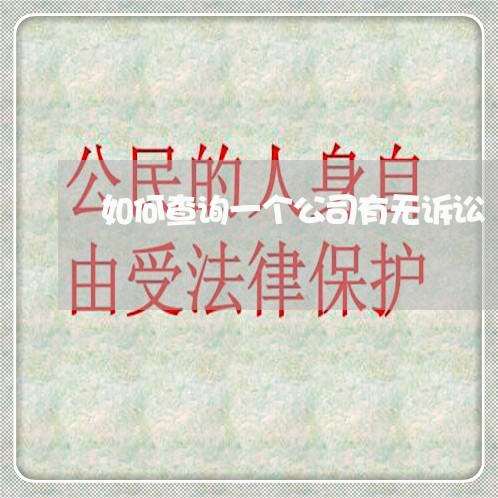 如何查询一个公司有无诉讼