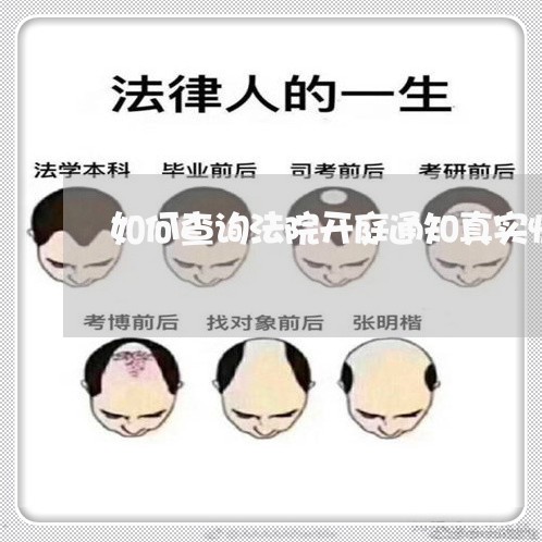 如何查询法院开庭通知真实性