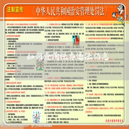 如何查询税务违法信息