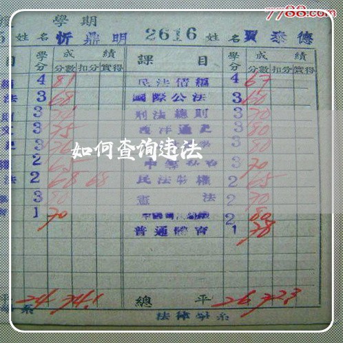 如何查询违法 如何查询违法