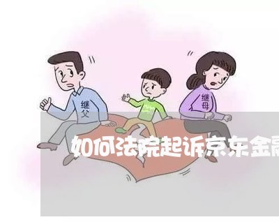 如何法院起诉京东金融