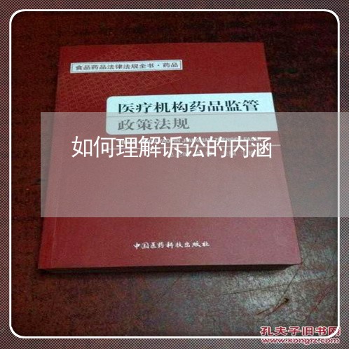 如何理解诉讼的内涵