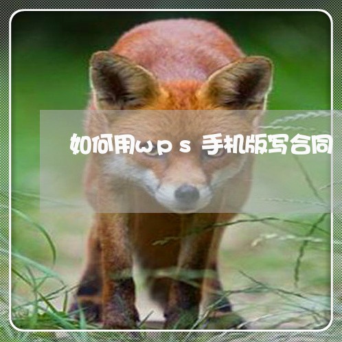 如何用wps手机版写合同/2023040950693 如何用wps手机版写合同/2023040950693