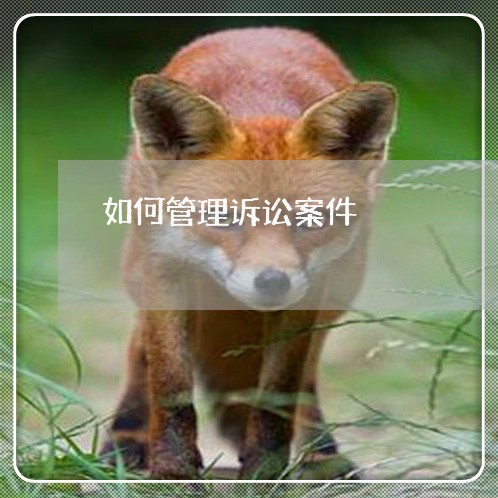 如何管理诉讼案件