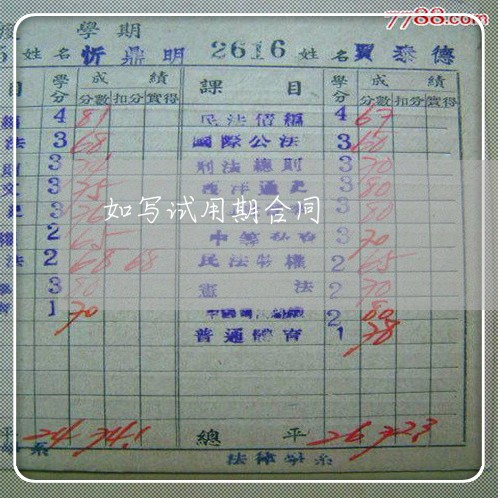 如写试用期合同/2023022649161