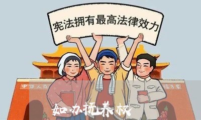 如办抚养权