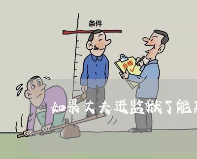 如果丈夫进监狱了能离婚吗/2023060982406