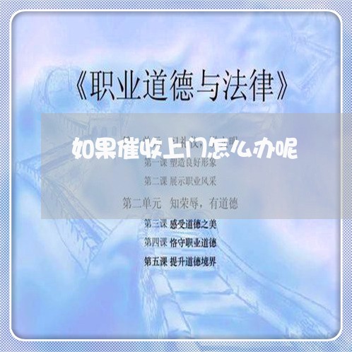如果催收上门怎么办呢/2023030125038