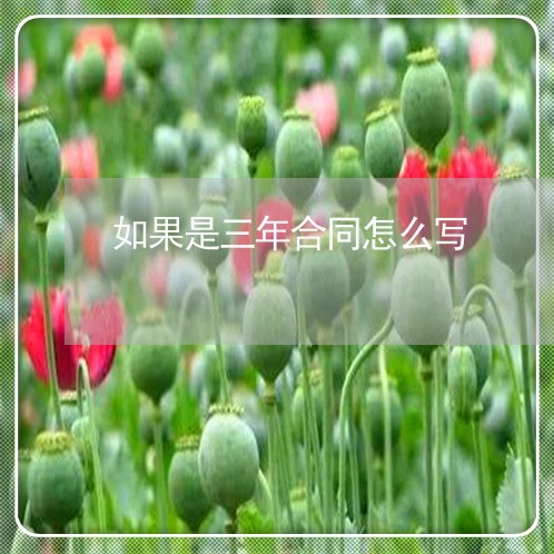 如果是三年合同怎么写/2023060369694