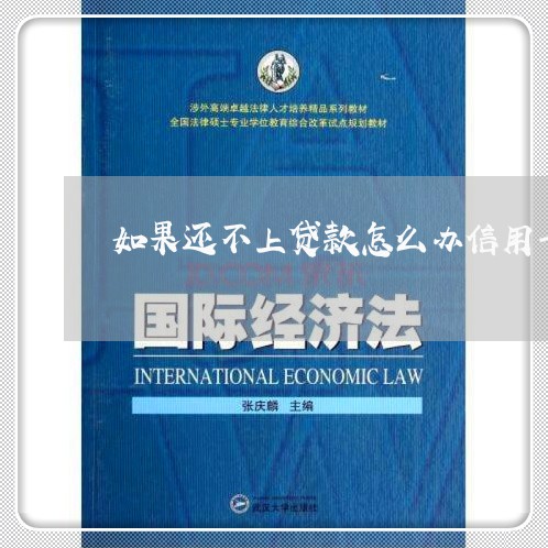 如果还不上贷款怎么办信用卡逾期/2023042018402