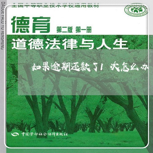 如果逾期还款了1次怎么办