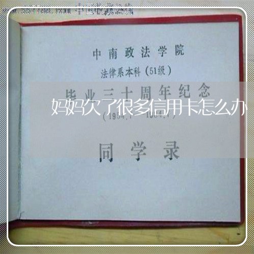 妈妈欠了很多信用卡怎么办 妈妈欠了很多信用卡怎么办