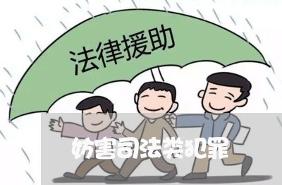 妨害司法类犯罪 妨害司法类犯罪