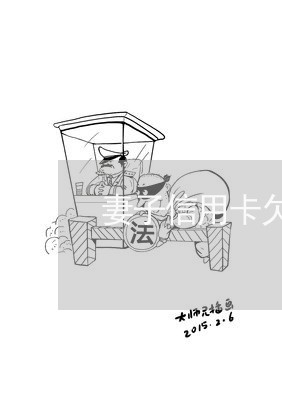 妻子信用卡欠了很多钱不还