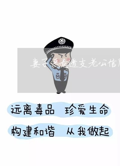 妻子恶意透支老公信用卡35万 妻子恶意透支老公信用卡35万