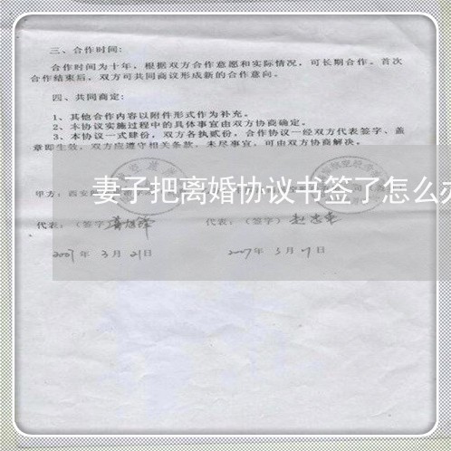 妻子把离婚协议书签了怎么办/2023061219251