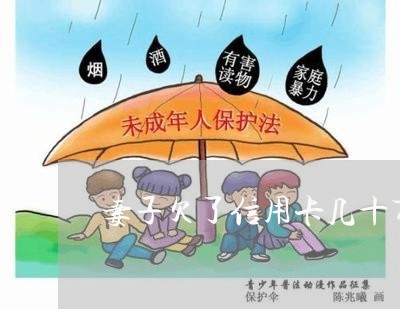 妻子欠了信用卡几十万报警有用吗