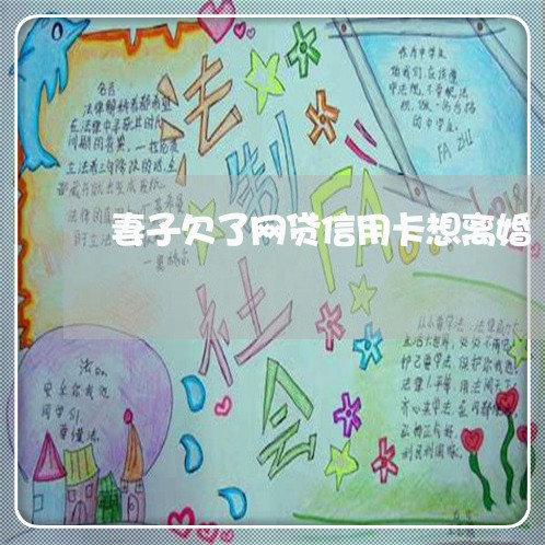 妻子欠了网贷信用卡想离婚 妻子欠了网贷信用卡想离婚