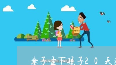 妻子生下孩子20天离婚/2023042428949