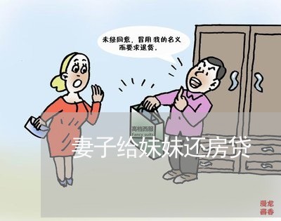 妻子给妹妹还房贷/2023032971583