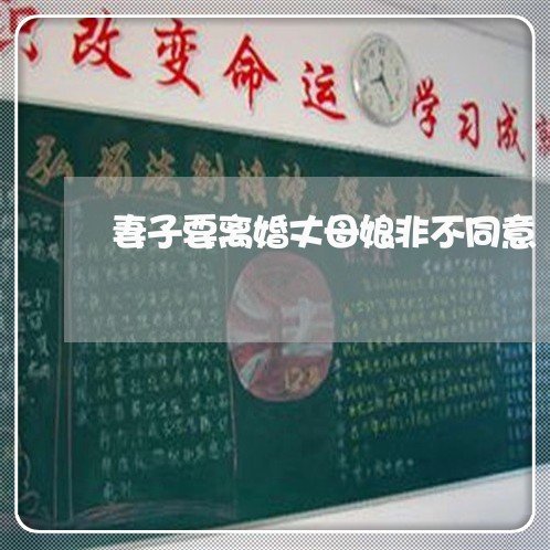 妻子要离婚丈母娘非不同意 妻子要离婚丈母娘非不同意