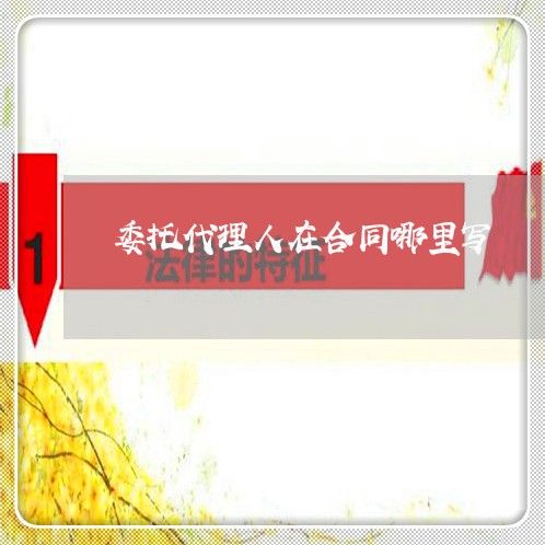 委托代理人在合同哪里写/2023041072937 委托代理人在合同哪里写/2023041072937