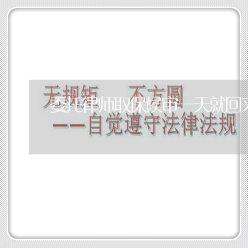 委托律师取保候审一天就回来/2023060496149