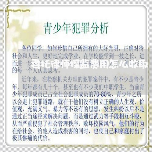委托律师探监费用怎么收取