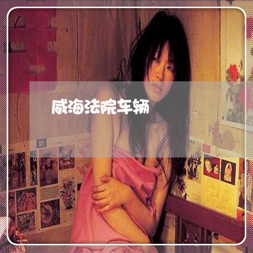威海法院车辆 威海法院车辆