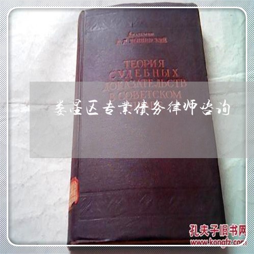 娄星区专业债务律师咨询