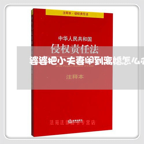 婆婆把小夫妻闹到离婚怎么办/2023061254704