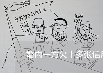 婚内一方欠十多张信用卡