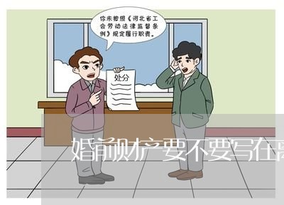 婚前财产要不要写在离婚诉讼书上 婚前财产要不要写在离婚诉讼书上