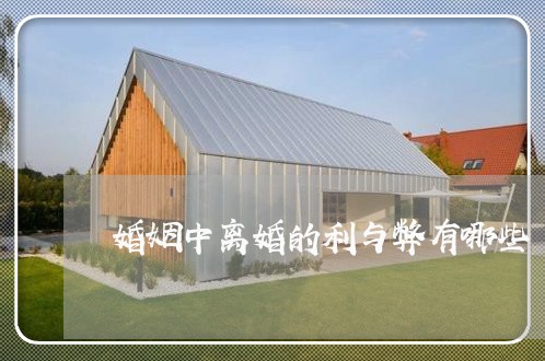 婚姻中离婚的利与弊有哪些