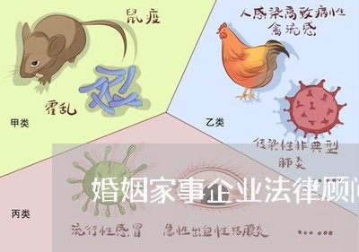 婚姻家事企业法律顾问收费
