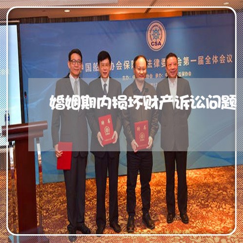 婚姻期内损坏财产诉讼问题 婚姻期内损坏财产诉讼问题