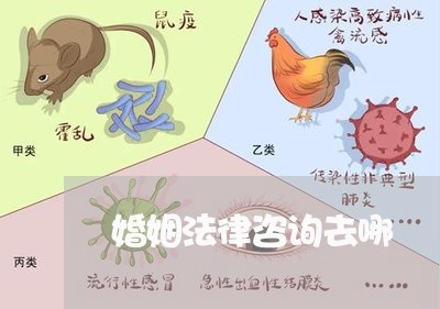 婚姻法律咨询去哪