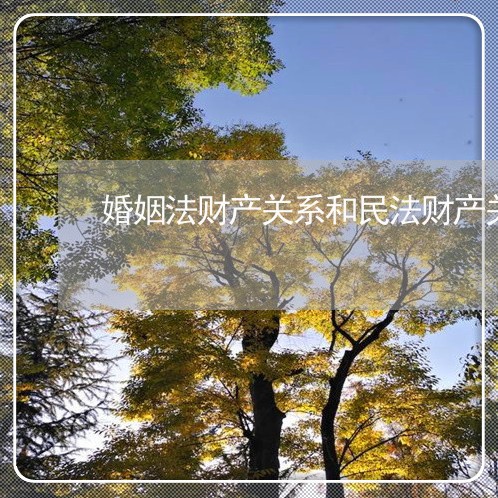 婚姻法财产关系和民法财产关系 婚姻法财产关系和民法财产关系