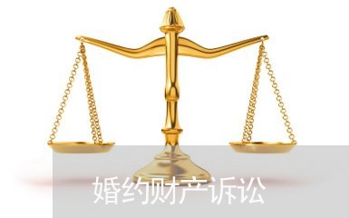 婚约财产诉讼
