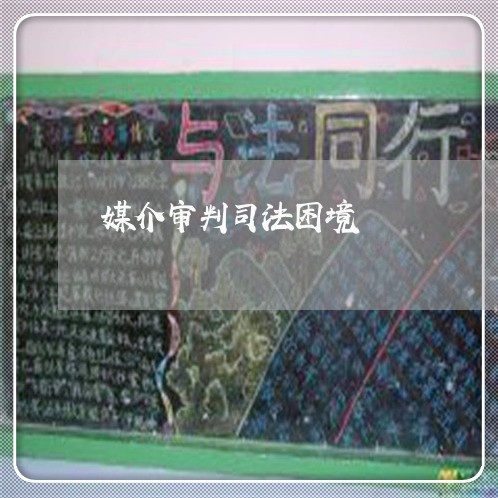 媒介审判司法困境 媒介审判司法困境