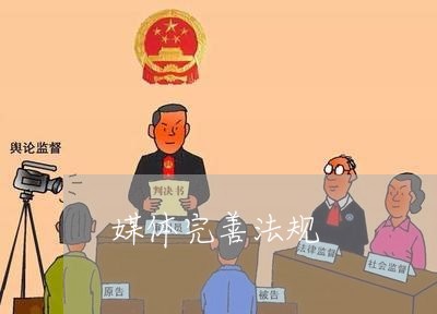 媒体完善法规 媒体完善法规
