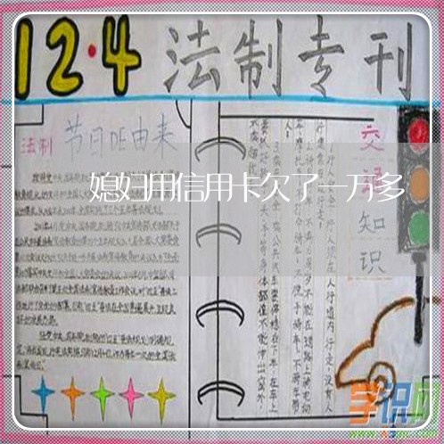 媳妇用信用卡欠了一万多 媳妇用信用卡欠了一万多