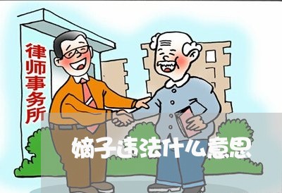 嫡子违法什么意思 嫡子违法什么意思