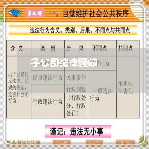 子公司法律顾问/2023061949261